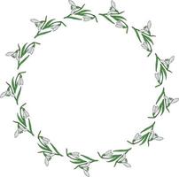 Round frame of drawing snowdrops. Wreath with isolated flowers on white background for your design. vector