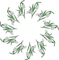 Round frame of snowdrops. Wreath with isolated flowers  on white background for your design. vector