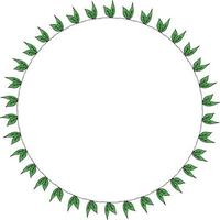Round frame with little leaves. Isolated wreath on white background for your design vector