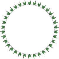 Round frame with little leaves. Isolated wreath on white background for your design vector