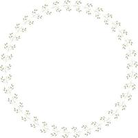 Round frame of horizontal elegant  leaves and decorative elements. Isolated nature frame on white background for your design. vector