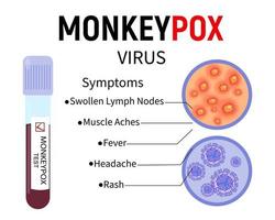 tubo de ensayo con sangre para la prueba del virus de la viruela del mono, muestra de piel humana con erupción y células de virus sobre fondo blanco. síntomas de la viruela del simio. ilustración vectorial vector