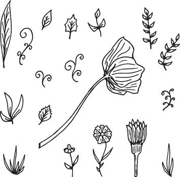 A set of different plant elements.  Collection isolated elements on white background for your design. vector