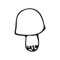 Hand drawn mushroom. Autumn mushroom in doodle style. Vector illustration.