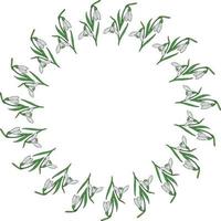 Round frame of colored snowdrops. Wreath with isolated flowers  on white background for your design. vector