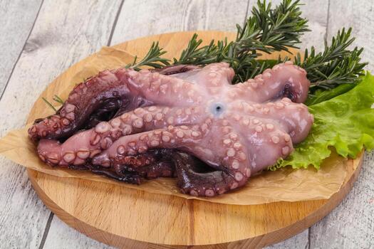 Raw octopus ready for cooking photo