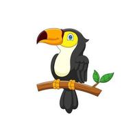 Cartoon toucan standing on a branch vector