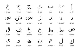 Arabic alphabet, letters, regular line art vector. vector