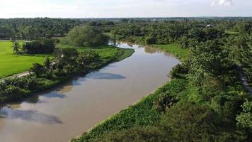 luchtfoto groen landschap van rivier video