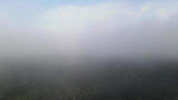 Luftfliegen durch weiße Nebelwolke video