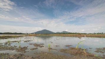 timelapse una nuvola bianca cielo blu video