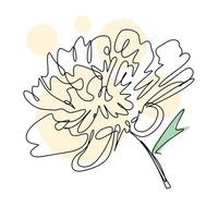 Delicate blooming peony flower lineart isolated vector