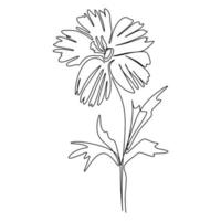 Flower line art isolated vector