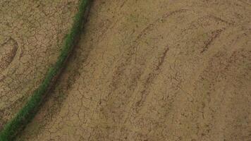 uitzoomen, luchtfoto drone weergave van landbouw in rijst op een prachtig veld gevuld met water. vlucht over het groene rijstveld overdag. natuurlijk de textuurachtergrond. video