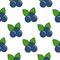 Blueberry with leaves seamless pattern vector illustration