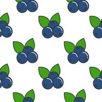 Blueberry with leaves seamless pattern vector illustration