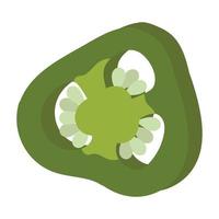 rodajas de jalapeño. imagen vectorial de un pimiento. guindilla. vector