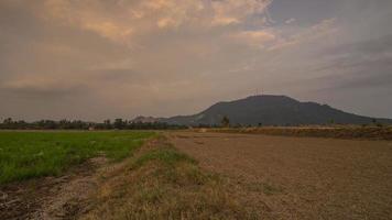 serata timelapse della risaia video