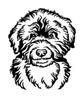 Barbet water dog vector black contour portrait