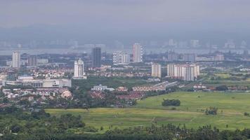 Timelapse view moving cloud and shadow over rice paddy field video