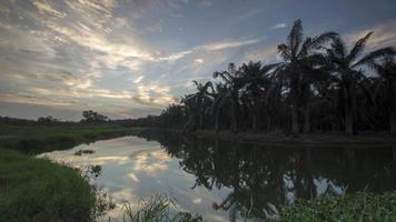 coucher de soleil sur le palmier à huile en plus de la rivière junjung. video