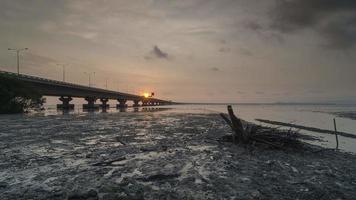 vista aérea pôr do sol sobre árvore de mangue morto no mar costeiro. video