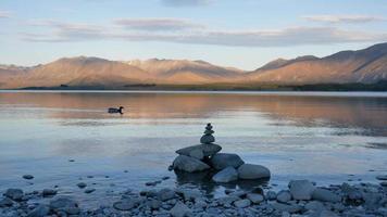 canard colvert nager au lac tekapo avec pierre zen