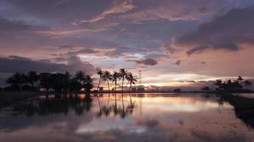 Timelapse orange cloud formation over coconut trees