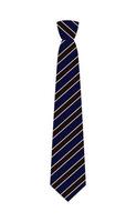 corbata de rayas, boda de esmoquin con traje y corbata ilustración vectorial. vector