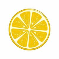 lemon slice illustration
