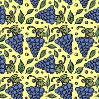 Seamless grape pattern. Doodle vector with grape icons. Vintage grape pattern