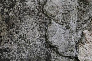 Concrete Wall Texture Background photo