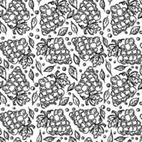 Seamless grape pattern. Doodle vector with grape icons. Vintage grape pattern