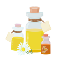 bottle with essential oil and chamomile flower png