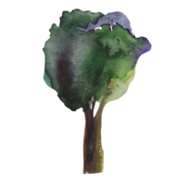 albero con foglie verdi acquerello illustrazione