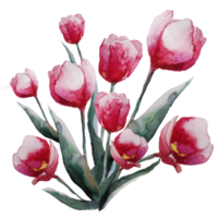ilustração em aquarela de buquê de flores de tulipa