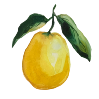 citron akvarell illustration png