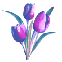 Bouquet of watercolor tulips png