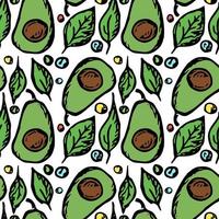 Seamless avocado pattern. Colored avocado background. Doodle vector illustration with fruits