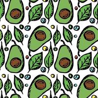 Seamless avocado pattern. Colored avocado background. Doodle vector illustration with fruits