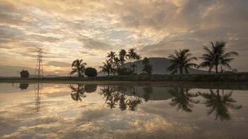 Timelapse of coconut tree and hill in a row video