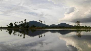 Bukit Mertajam Hill und Kokospalmen video