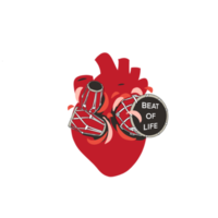Heart of life png
