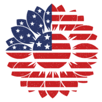 solros USA flagga Amerika design png