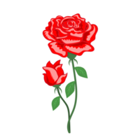 diseño de elementos de rosa roja png