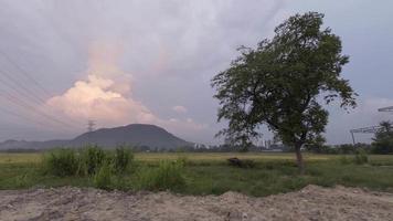 Timelapse dusk hour at agriculture site. video