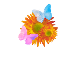 fleurs avec papillon aquarelle. fond fleuri. png