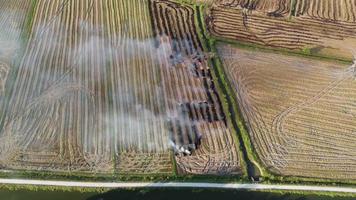 Aerial look down burning of straw paddy