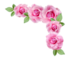 rosa rosa fiori e boccioli in una disposizione ad angolo png