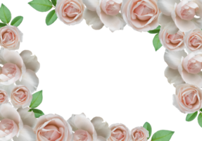 arrangement de roses blanches. cadre de roses de fleurs. png